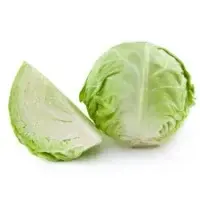 Organic Cabbage