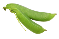 Organic Awara