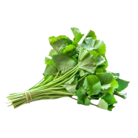 Organic Gotu kola