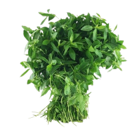 Organic Mukunuwenna