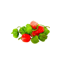Organic Nai miris