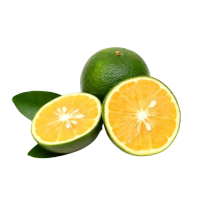 Organic Pani dodam