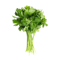 Organic Parsley
