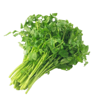 Organic Saarana