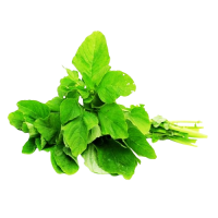Organic Thampala