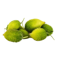 Organic Thumba karavila