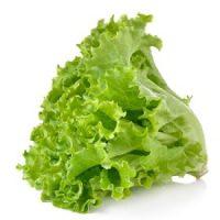 Organic Lettuce