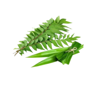 Organic Rampe karapincha bunch