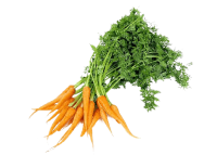 Organic Baby carrot with leaves