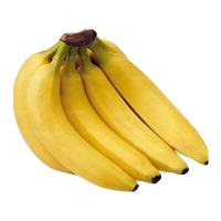 Organic Cavandish Banana