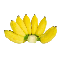 Organic Banana-Suwandel