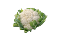 Organic Cauliflower