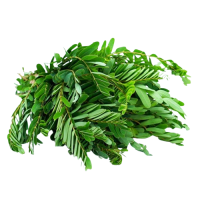 Organic Kathurumurunga kola