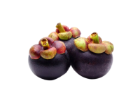 Organic Mangosteen