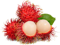 Organic Rambutan