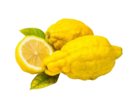 Organic Rough Lemon