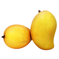 Organic TJC Mango