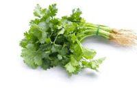 Organic Coriander leaves