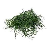 Organic Haathawariya