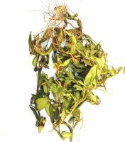 Organic Heenbowitiya