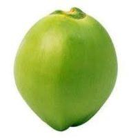 Organic Kurumba Gedi