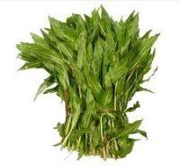 Organic Neera mulliya