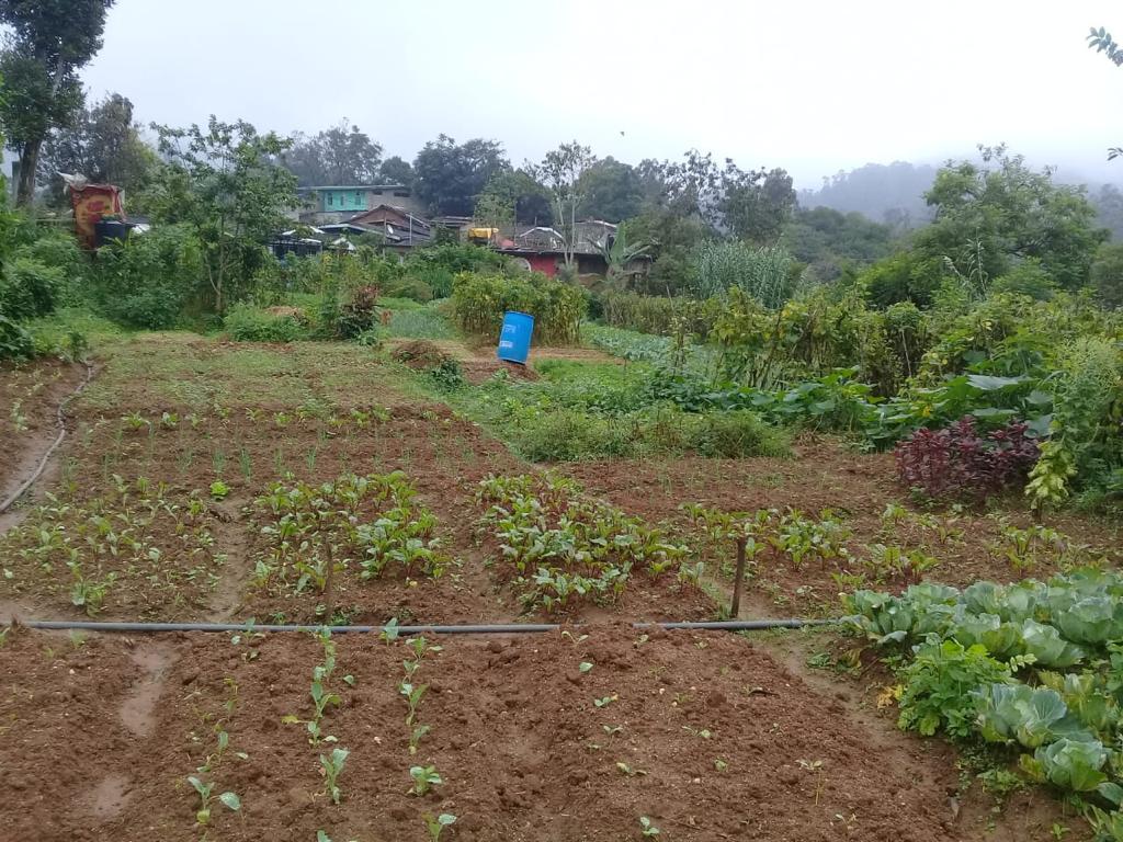 Farm at Bandarawela