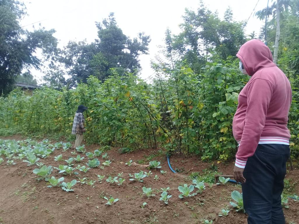 Farm at Bandarawela