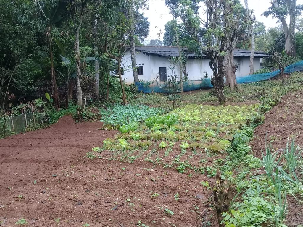 Farm at Bandarawela