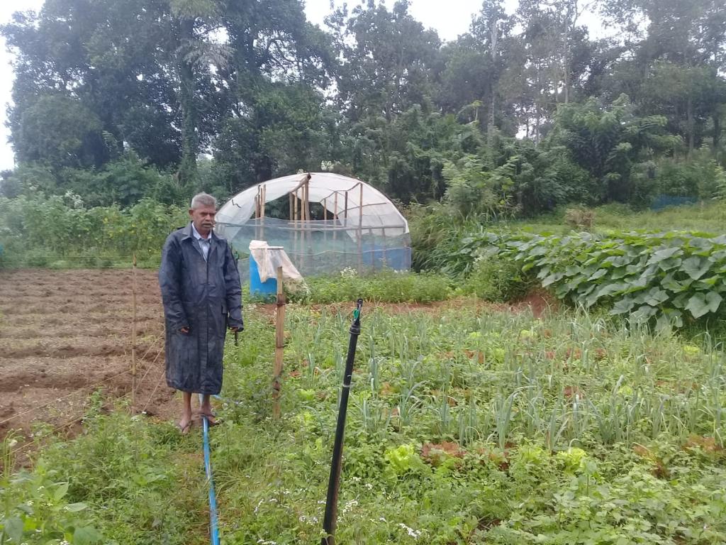 Farm at Bandarawela