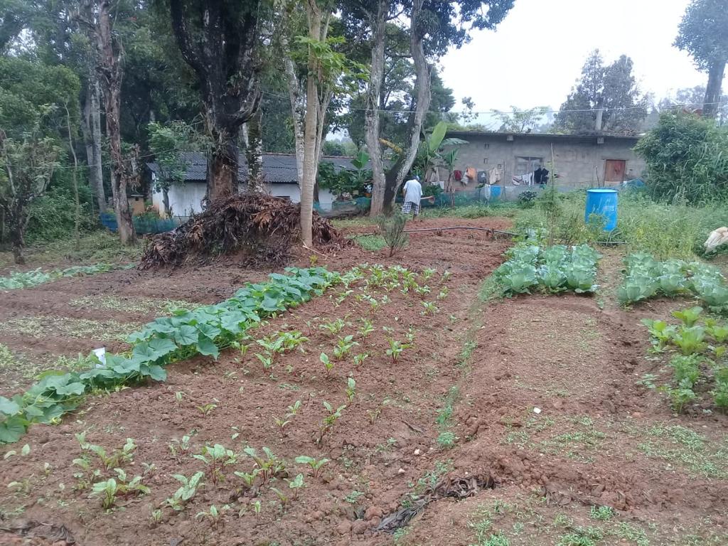 Farm at Bandarawela