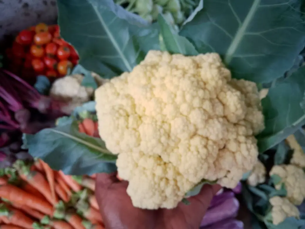 Farm at Gampola