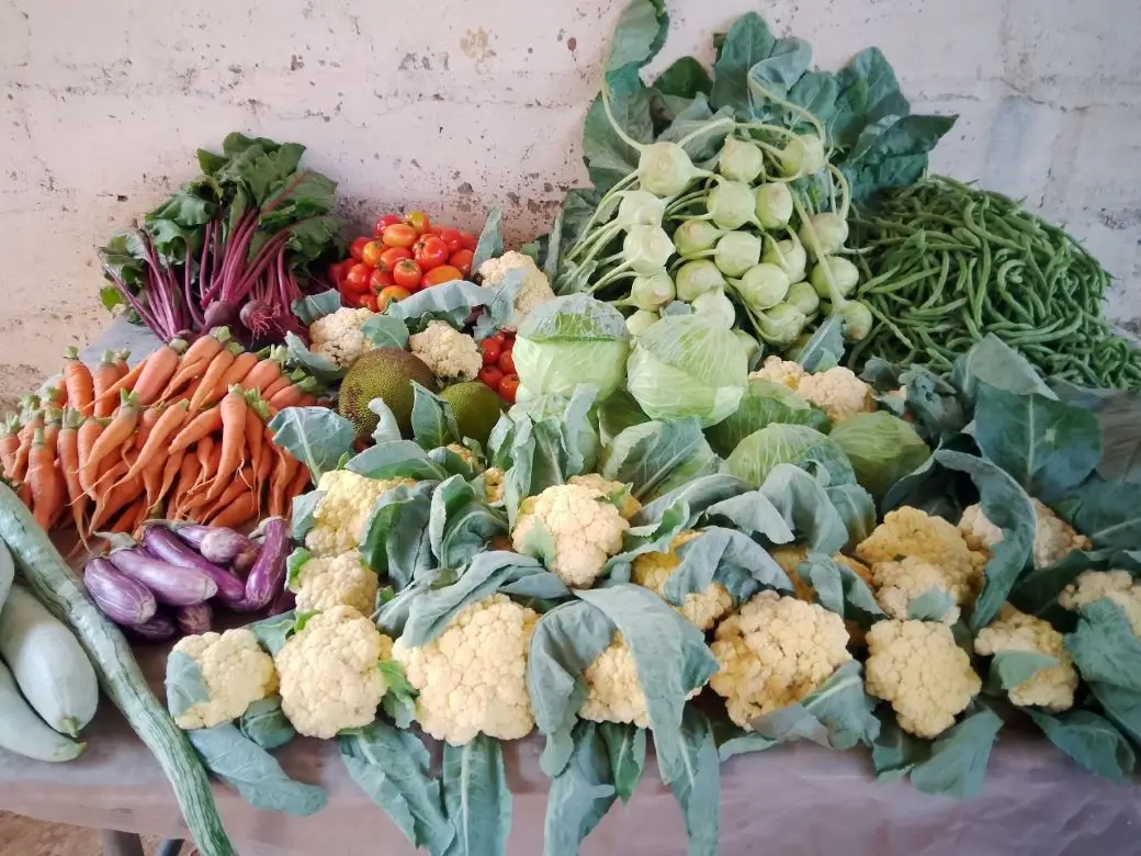 Farm at Gampola