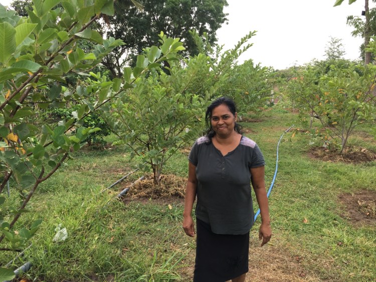 Farm at Puttalam