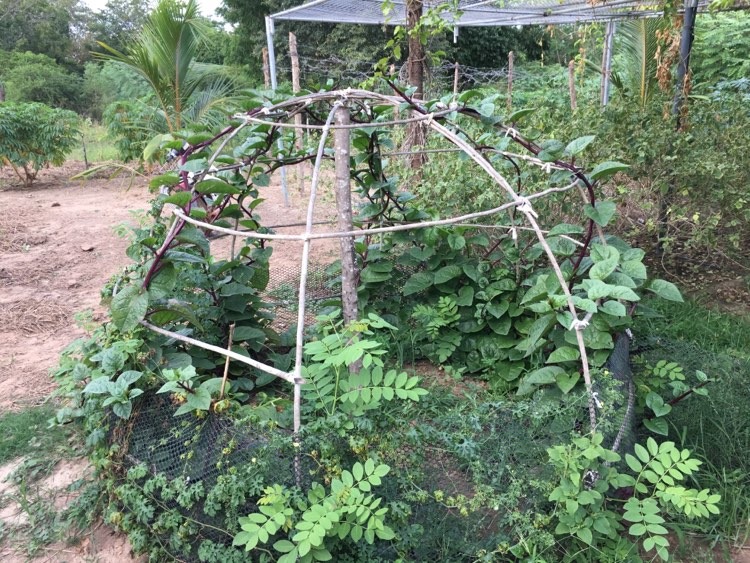 Farm at Puttalam