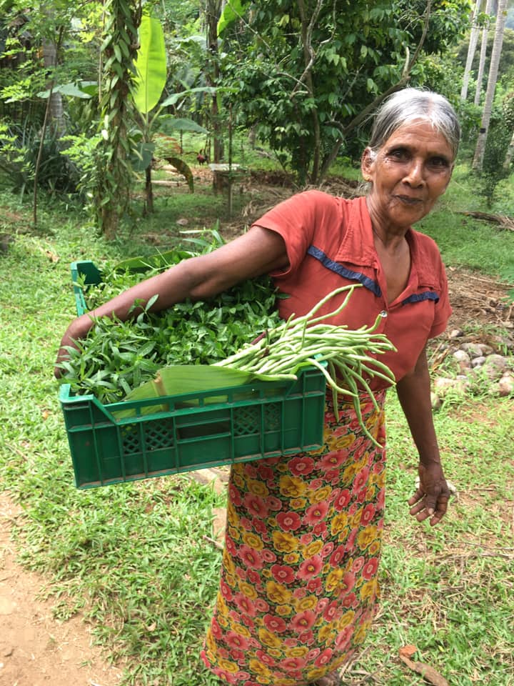 Farm at Rambukkana