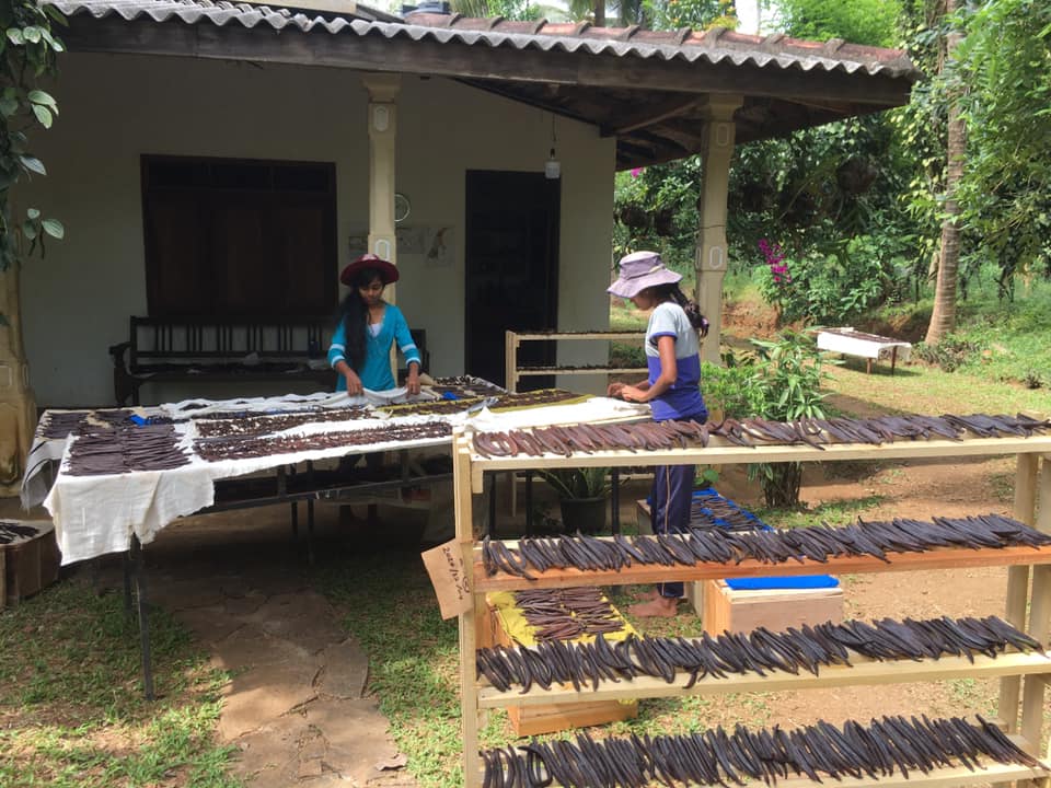 Farm at Rambukkana